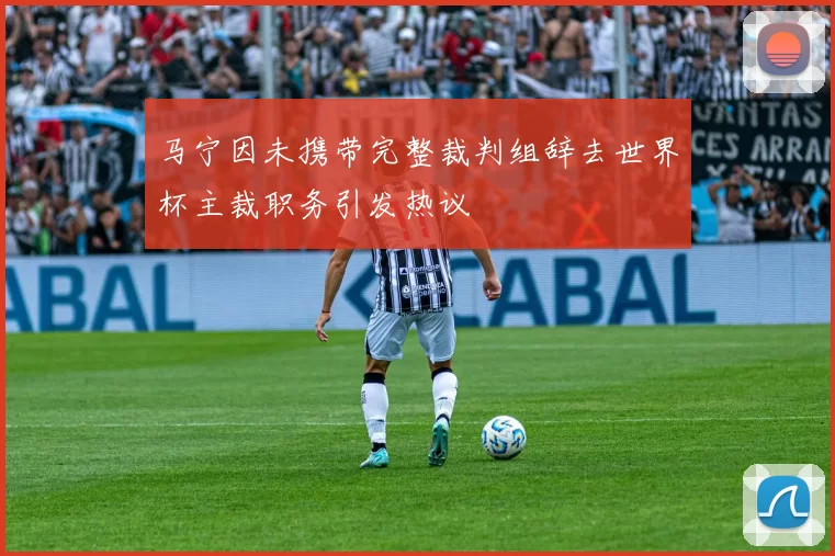 马宁因未携带完整裁判组辞去世界杯主裁职务引发热议