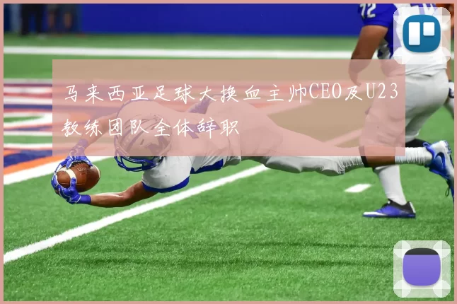马来西亚足球大换血主帅CEO及U23教练团队全体辞职